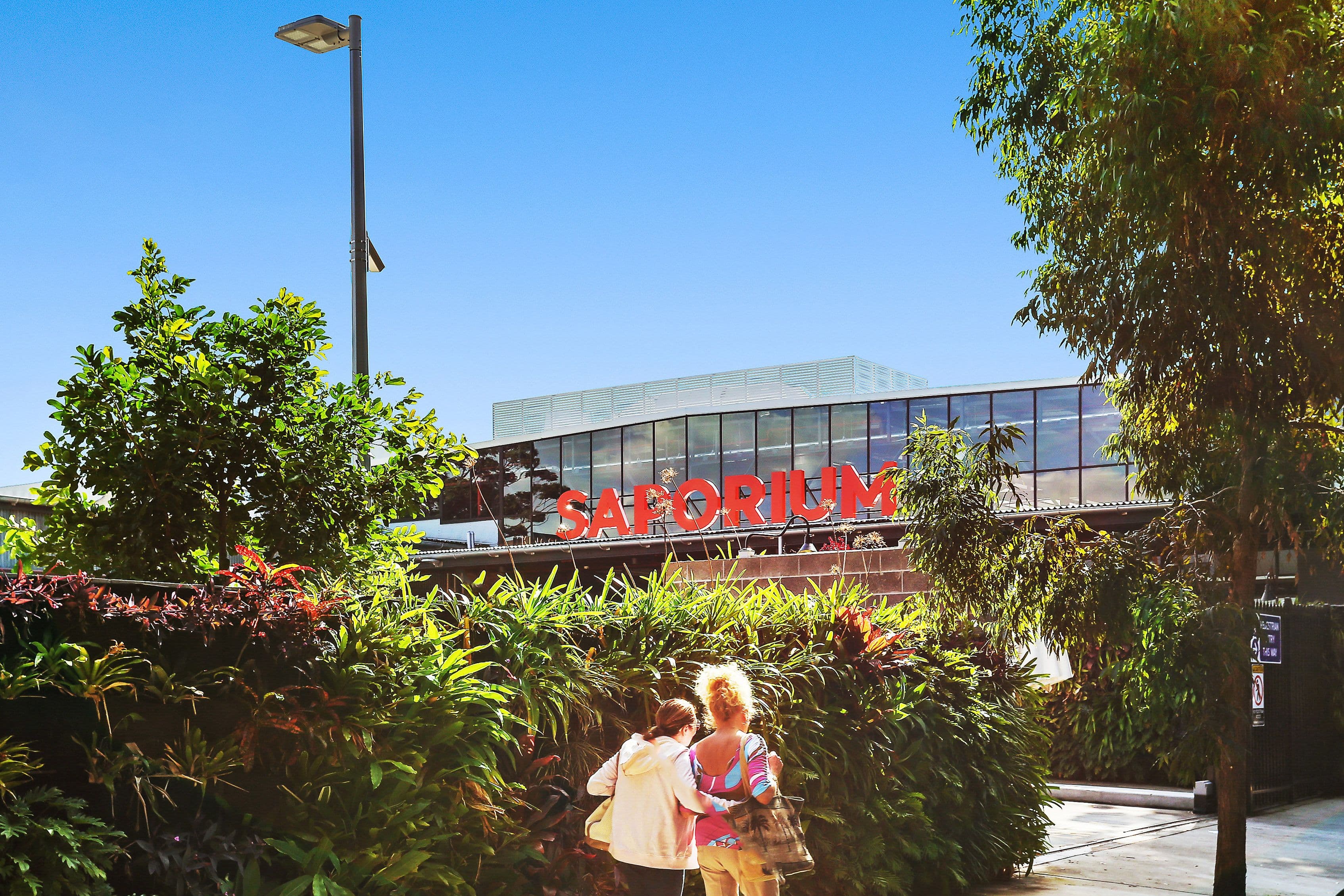 3 Bowman Street, Meningie, Meningie - Thumbnail 4