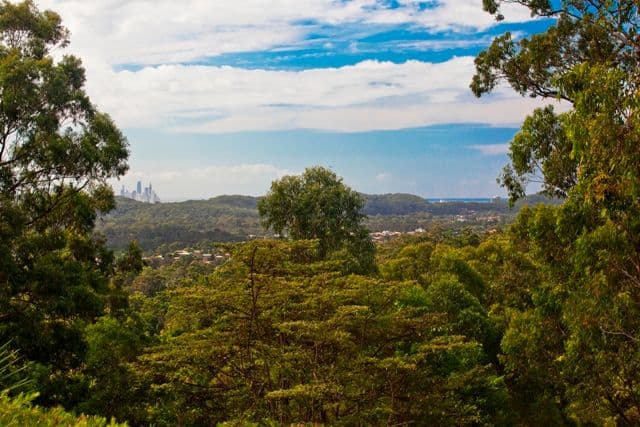 40 Buckingham Way, ELANORA QLD 4221, Elanora - Thumbnail 8