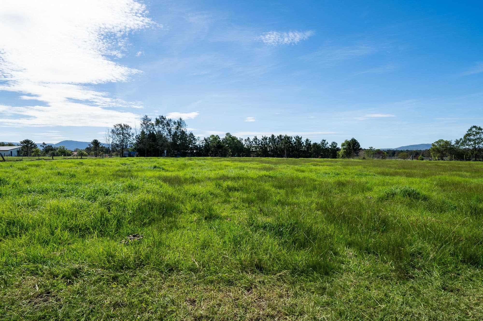42 Bennett Place, Worrigee NSW 2540, Worrigee - Thumbnail 8