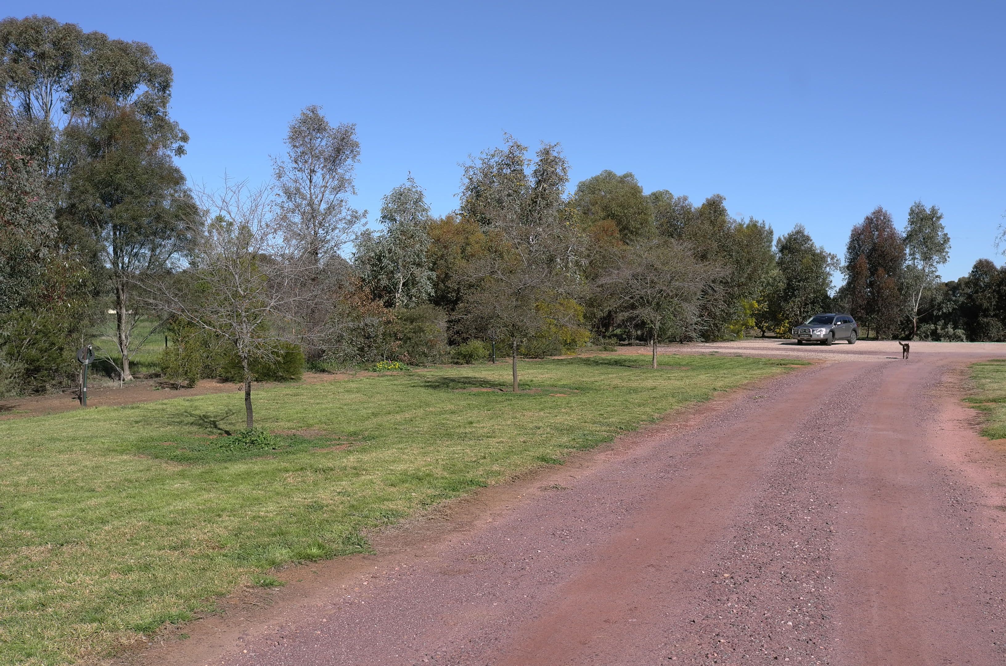 Lot 1 45 Grigg Road, Leeton NSW 2705, Leeton - Thumbnail 6