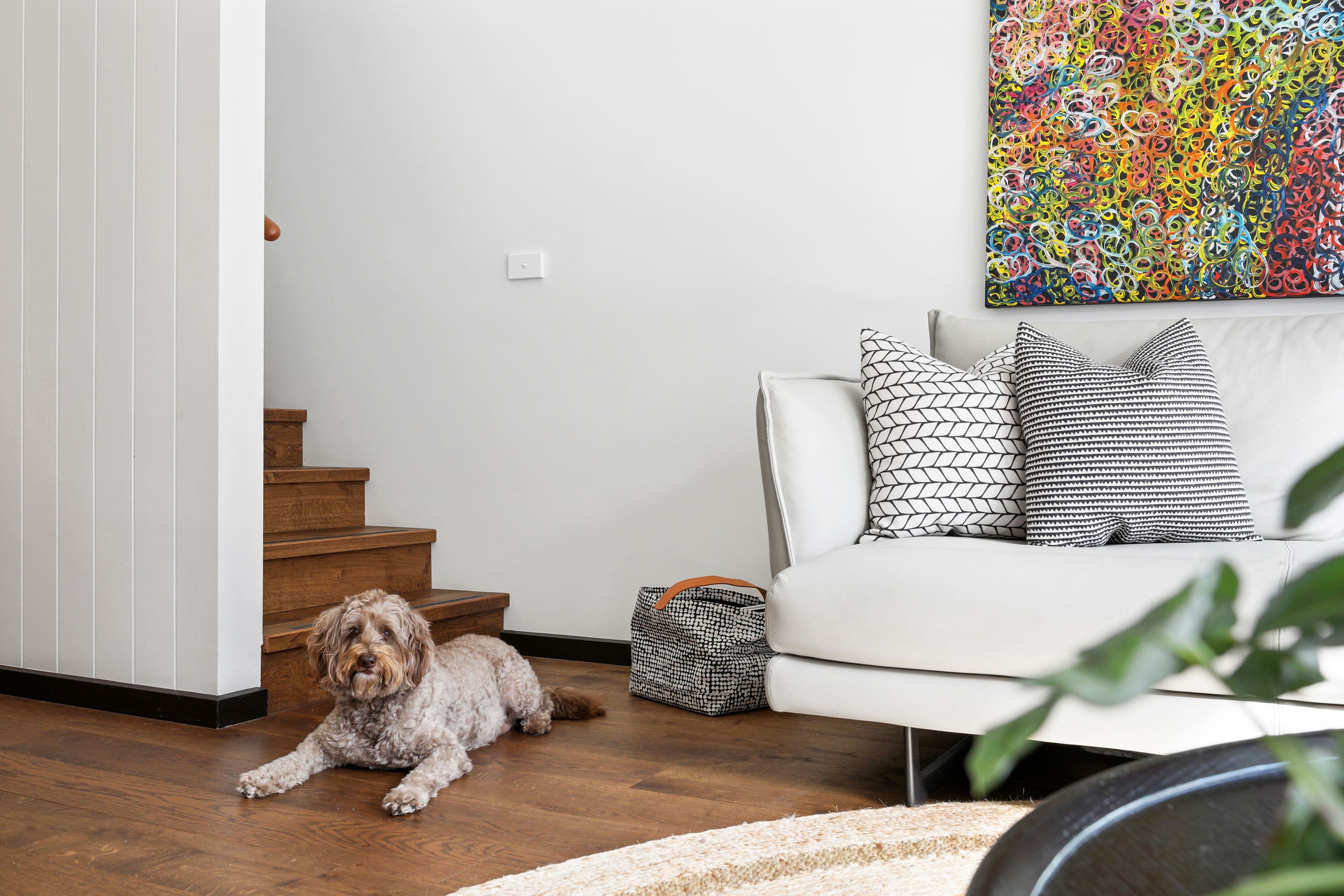 99 Darley Street, Newtown NSW 2042, Newtown - Thumbnail 7
