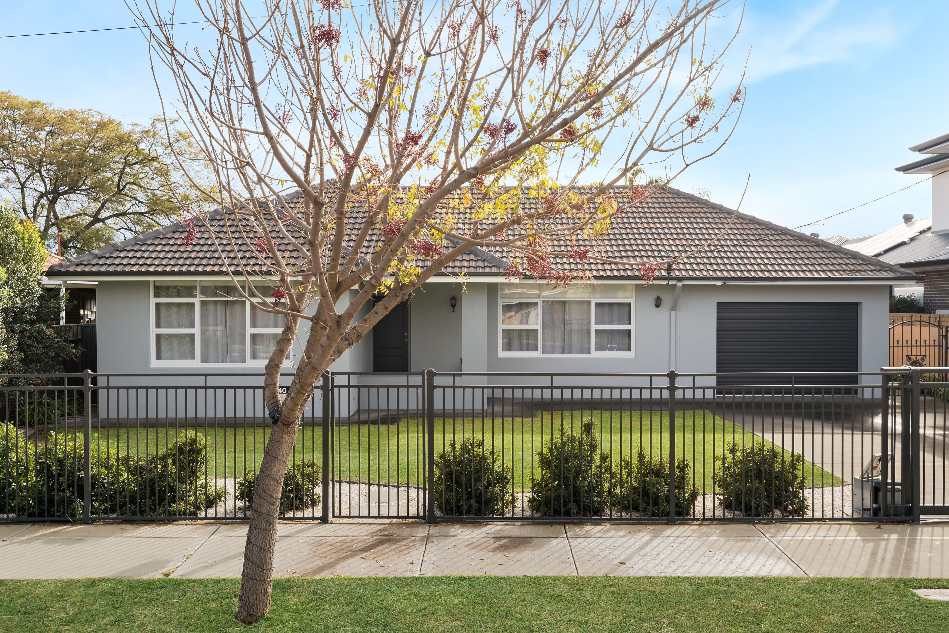 40 Collingwood Avenue, Flinders Park SA 5025, Flinders Park - Thumbnail 2