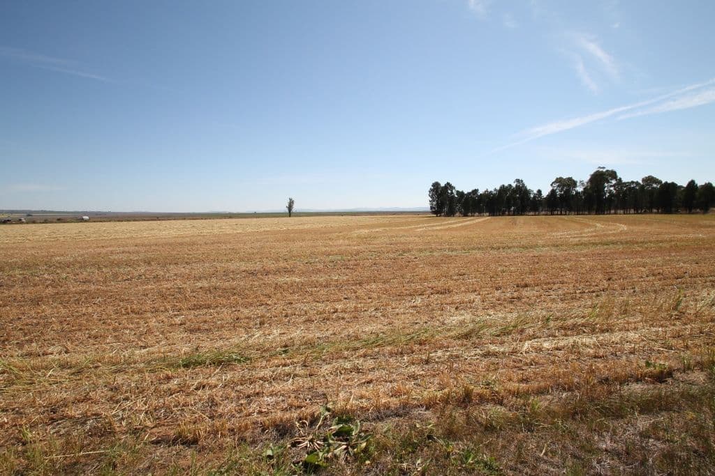 93 Darby Road, SPRING RIDGE NSW 2343, Spring Ridge - Thumbnail 2