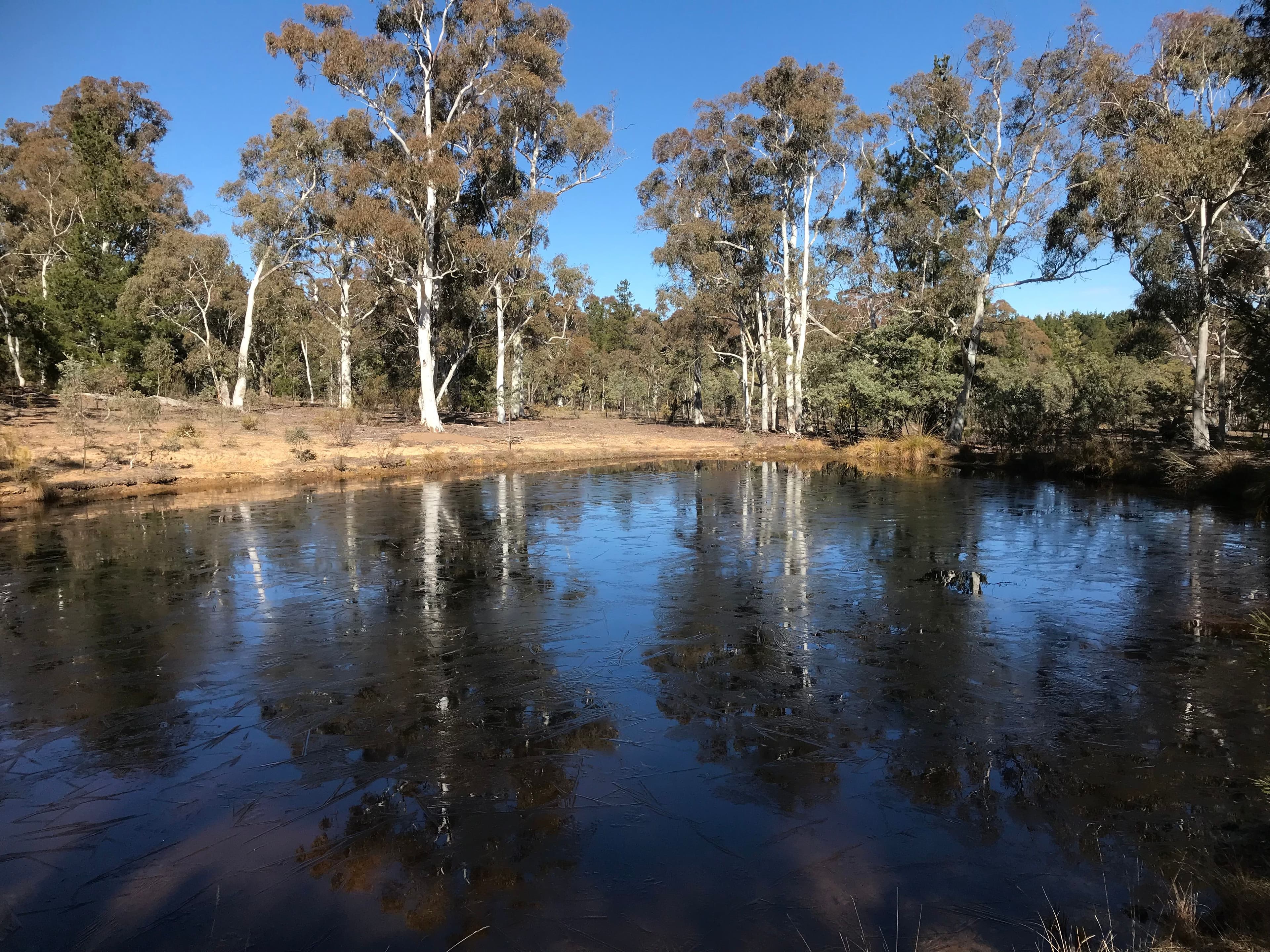 203 Poppet Road, WAMBOIN NSW 2620, Wamboin - Thumbnail 2