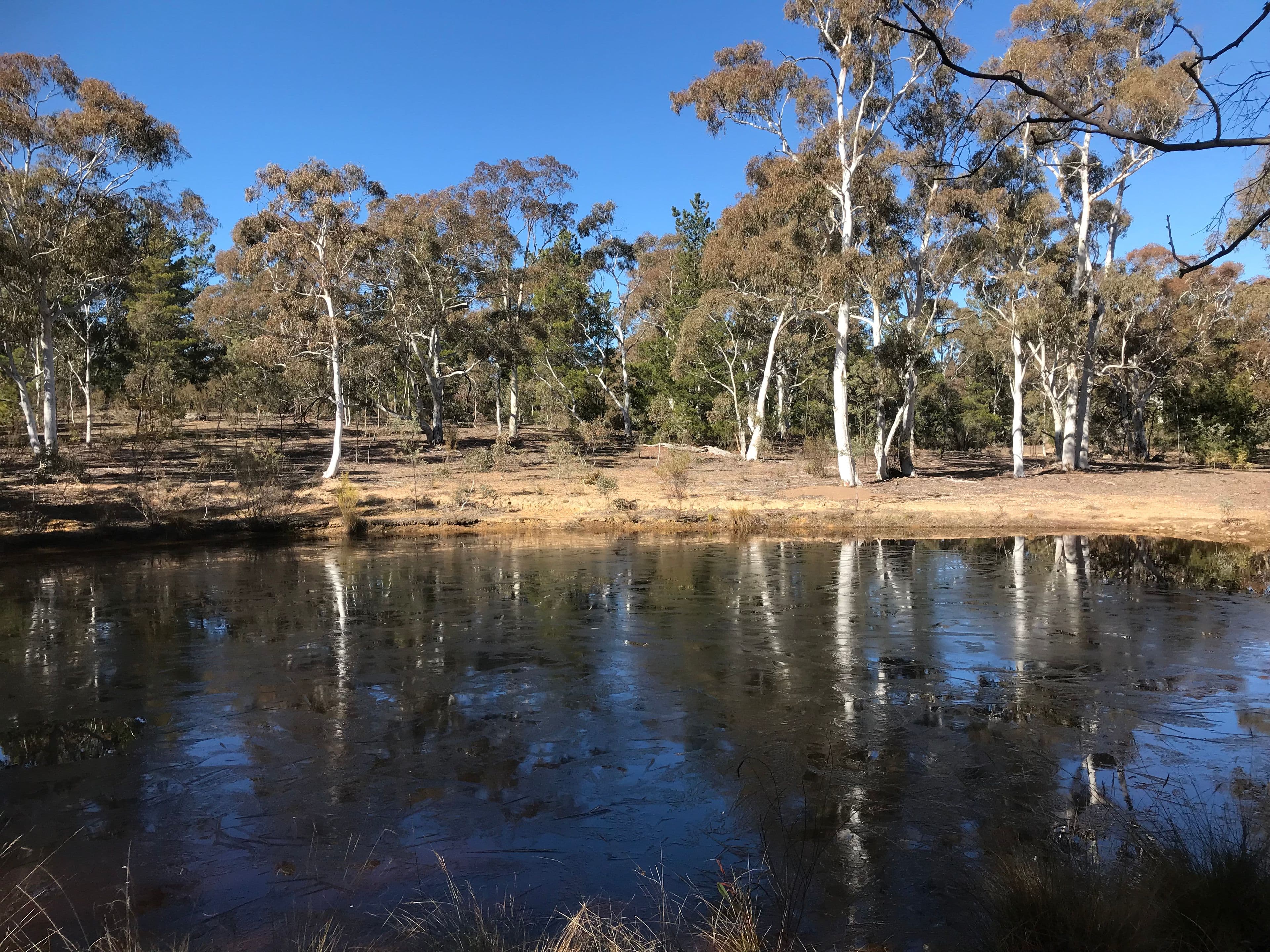 203 Poppet Road, WAMBOIN NSW 2620, Wamboin - Thumbnail 3