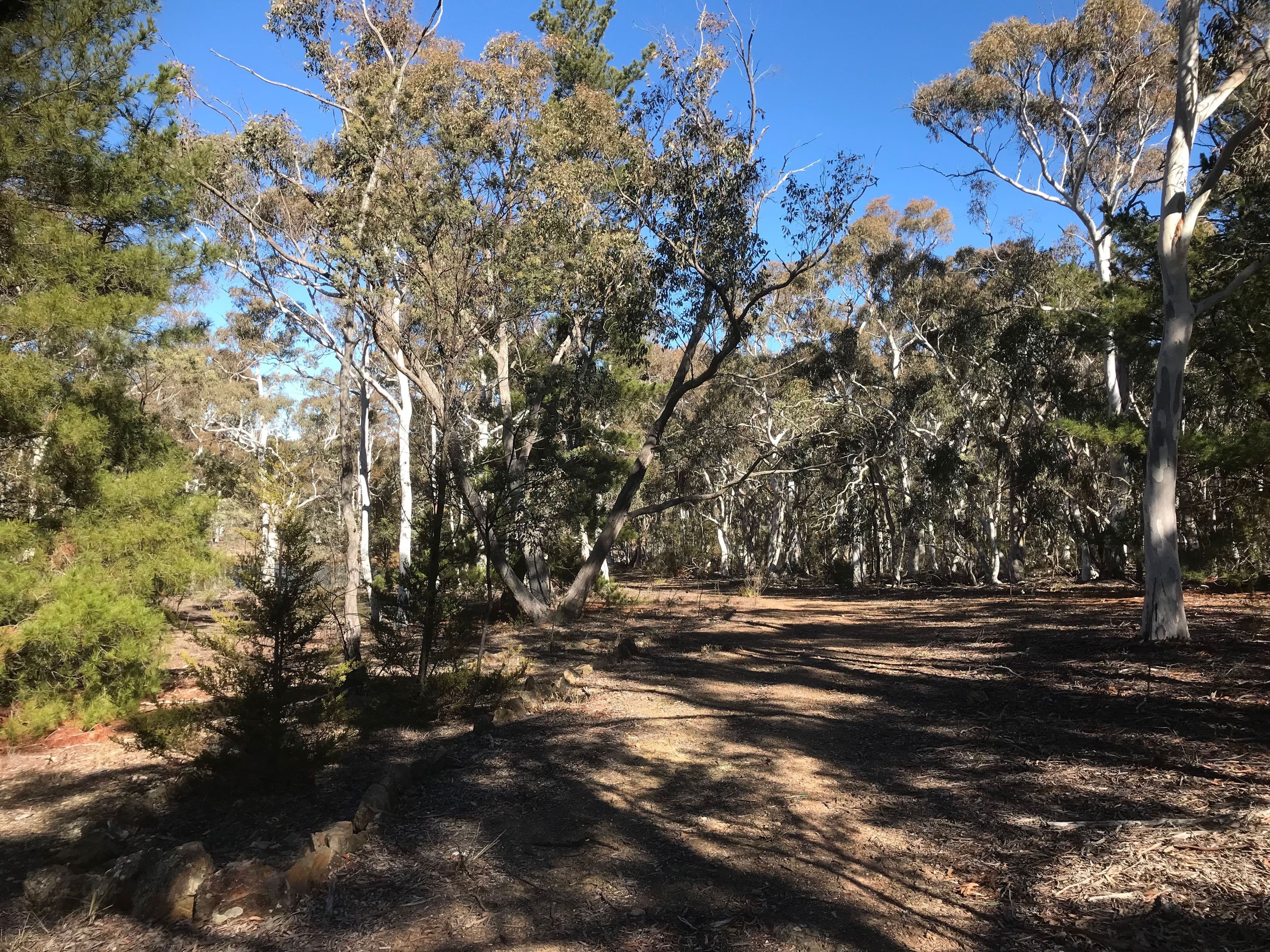 203 Poppet Road, WAMBOIN NSW 2620, Wamboin - Thumbnail 4