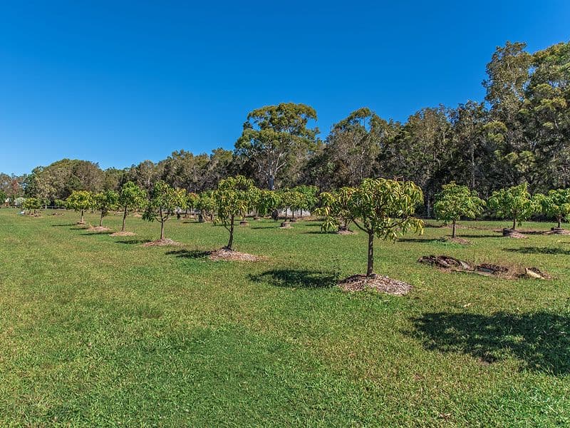 17a Yatama Place, Cooroibah QLD 4565, Cooroibah - Thumbnail 7