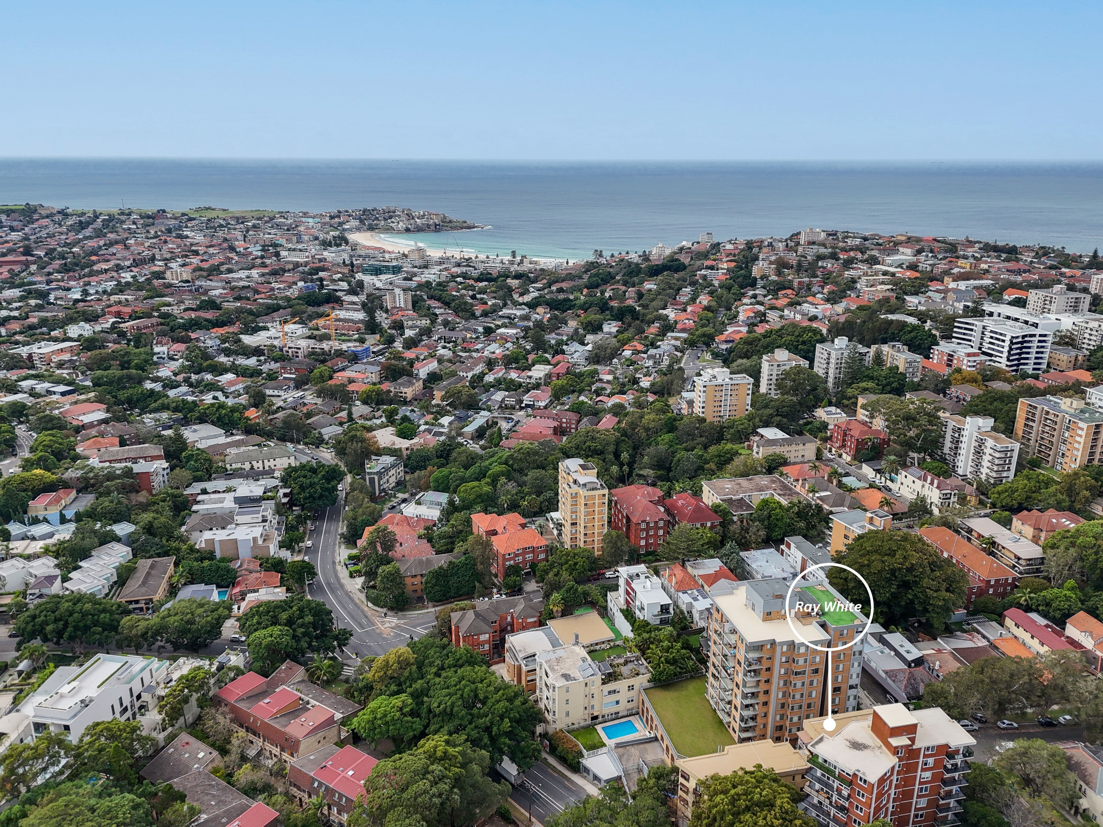 24 New Street, Bondi NSW 2026, Bondi - Thumbnail 5