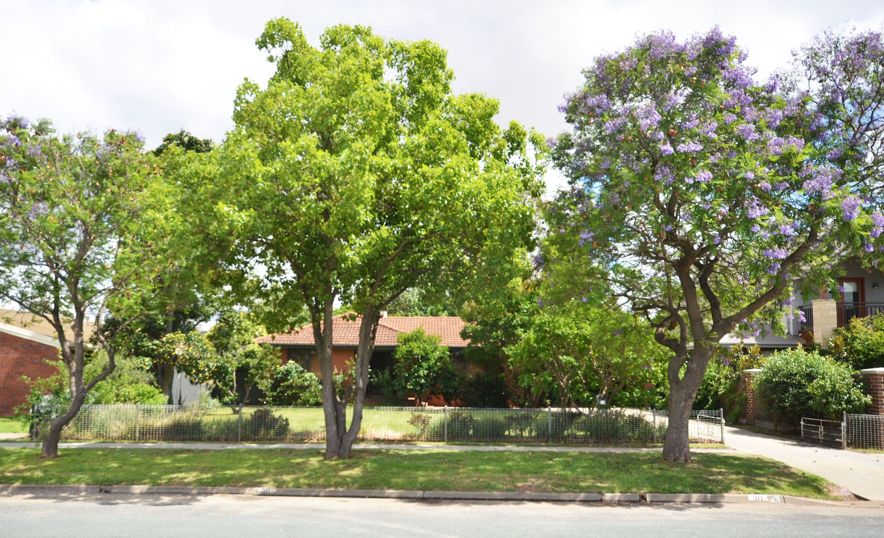 38 Blair Street, Moama - Thumbnail 4