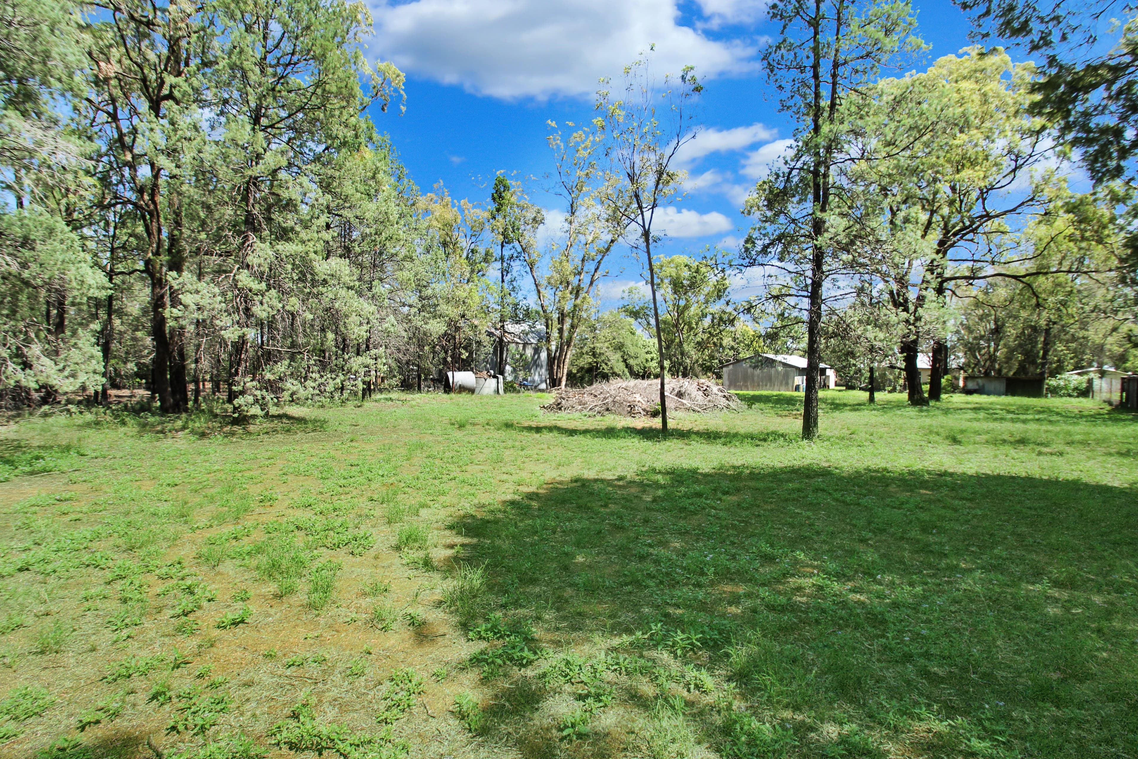 20 Arnold Avenue, Spring Ridge NSW 2343, Spring Ridge - Thumbnail 4