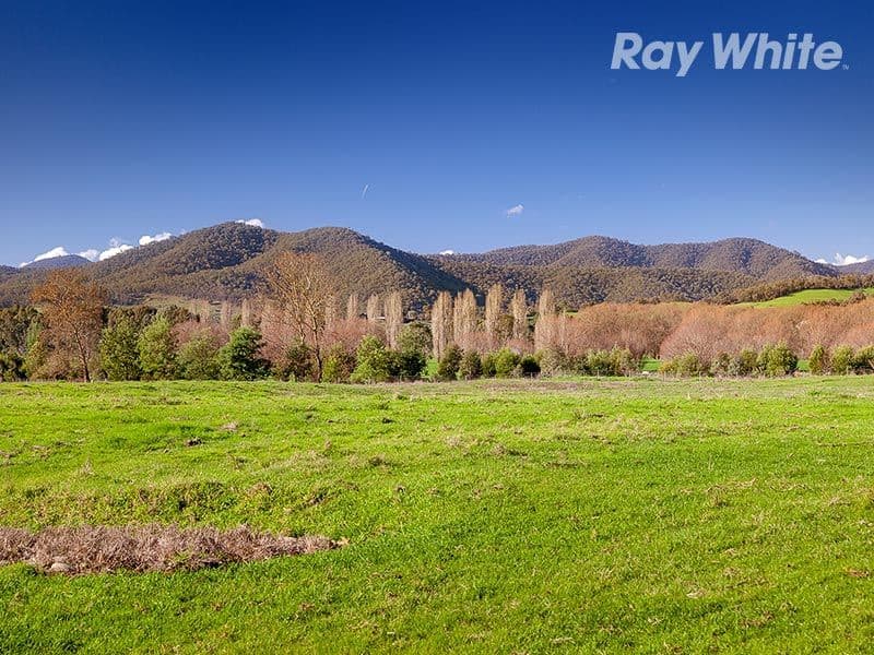 3751 Omeo Highway, ESKDALE VIC 3701, Eskdale - Thumbnail 4