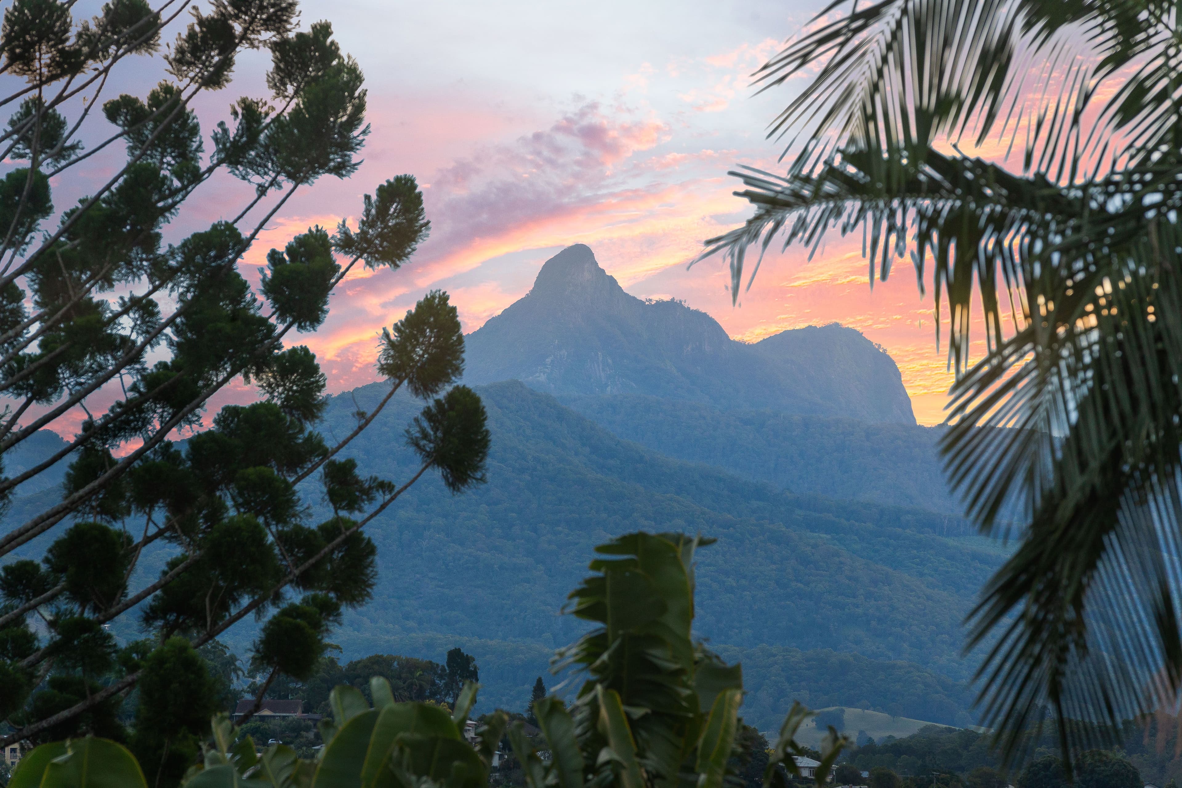 2 Bent Street, Murwillumbah NSW 2484, Murwillumbah - Thumbnail 4