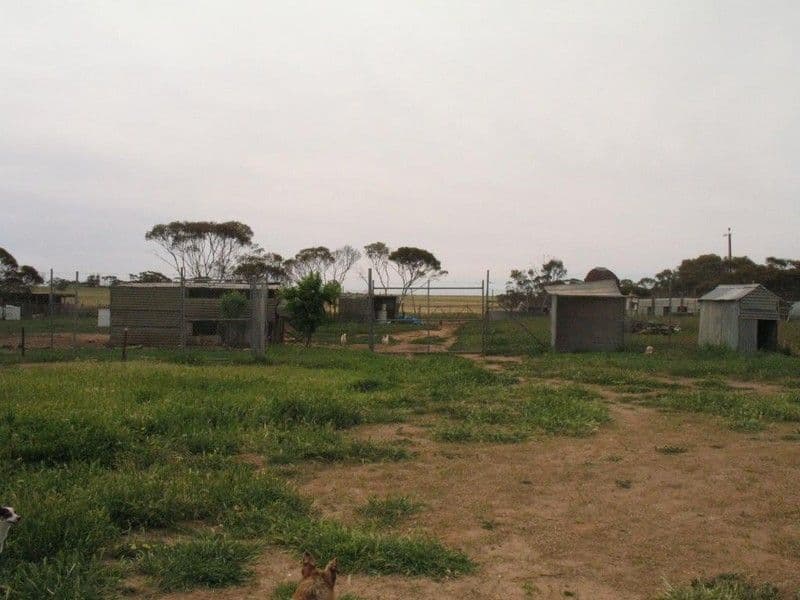 Lots 29, 30 and 32 South Terrace, MURDINGA SA 5607, Murdinga - Thumbnail 4