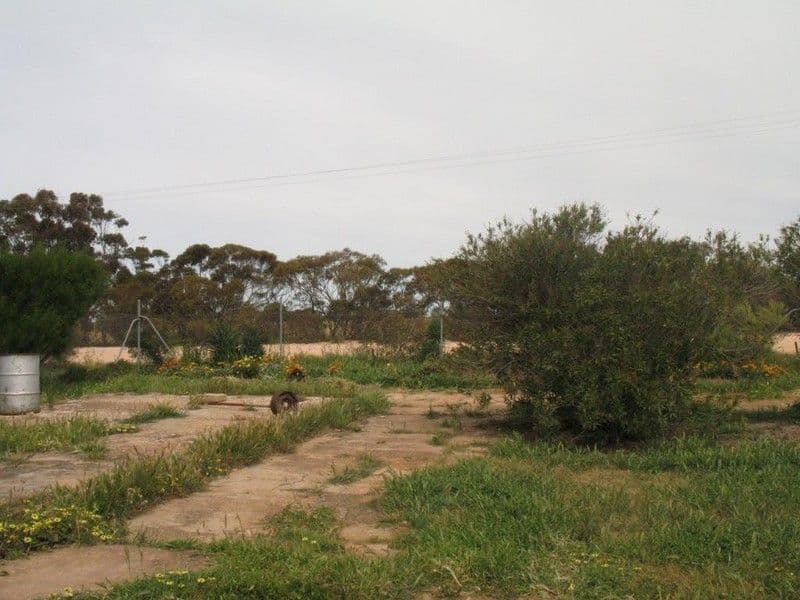 Lots 29, 30 and 32 South Terrace, MURDINGA SA 5607, Murdinga - Thumbnail 8
