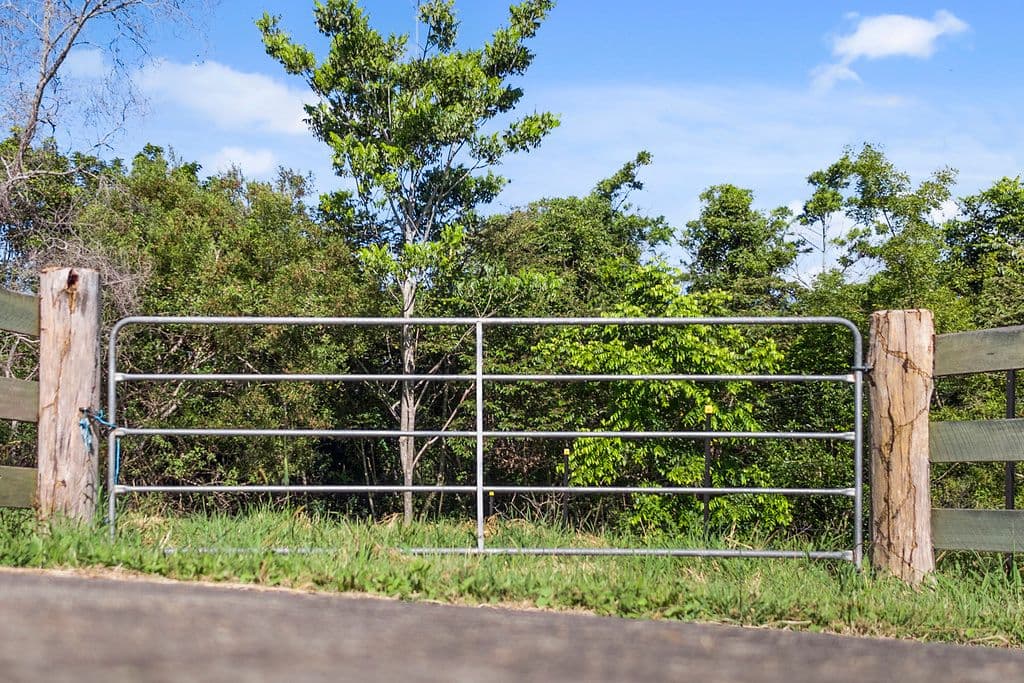 35 Sunrise Road, Eumundi QLD 4562, Eumundi - Thumbnail 5