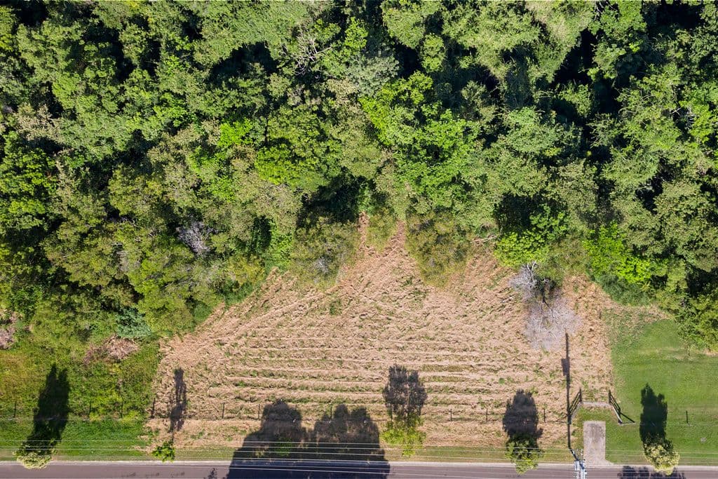 35 Sunrise Road, Eumundi QLD 4562, Eumundi - Thumbnail 7