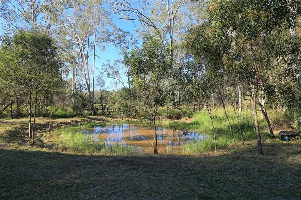 7 De Ville Court, SOUTH BINGERA QLD 4670, South Bingera - Thumbnail 4
