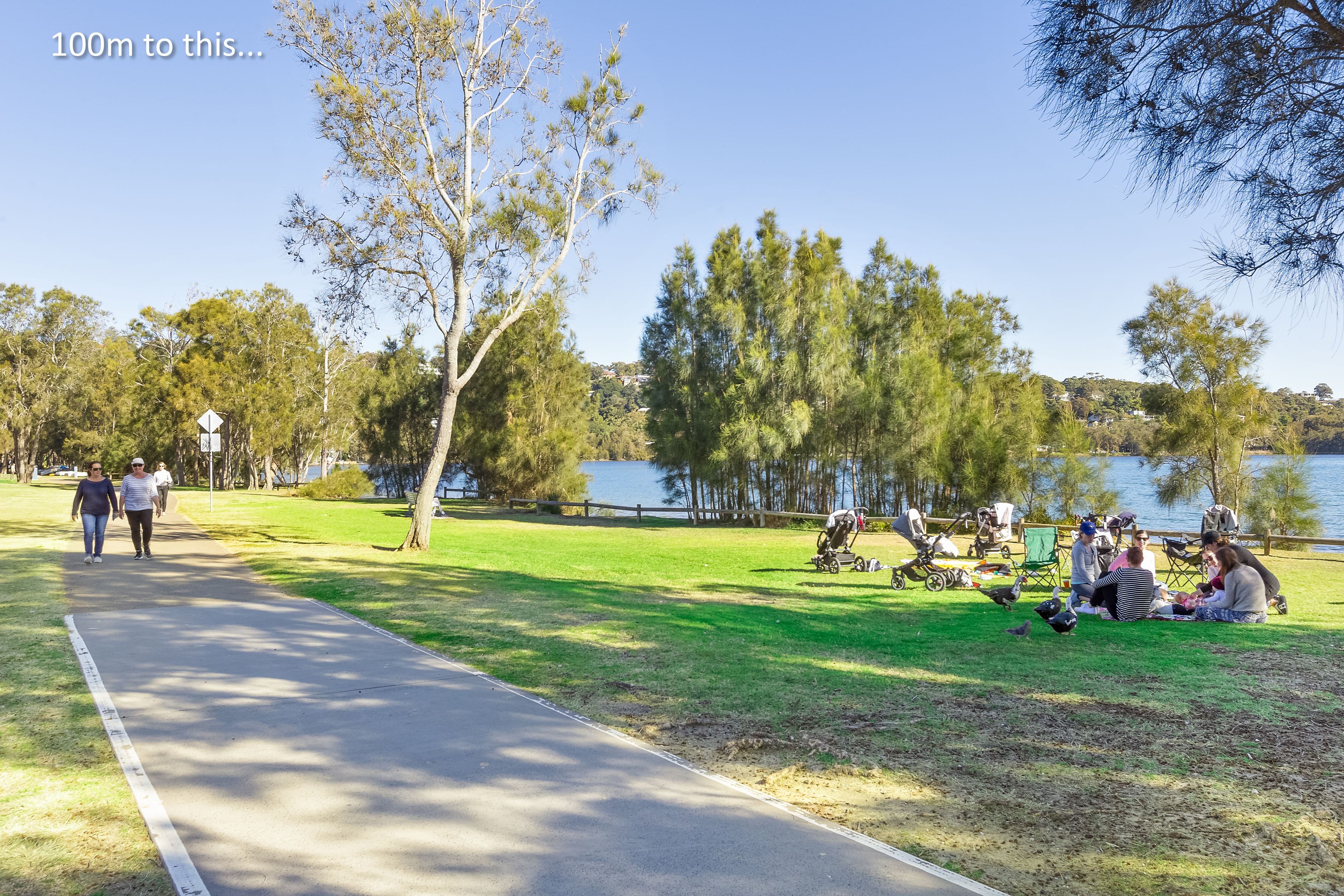 8 Robertson Street, Narrabeen NSW 2101, Narrabeen - Thumbnail 6