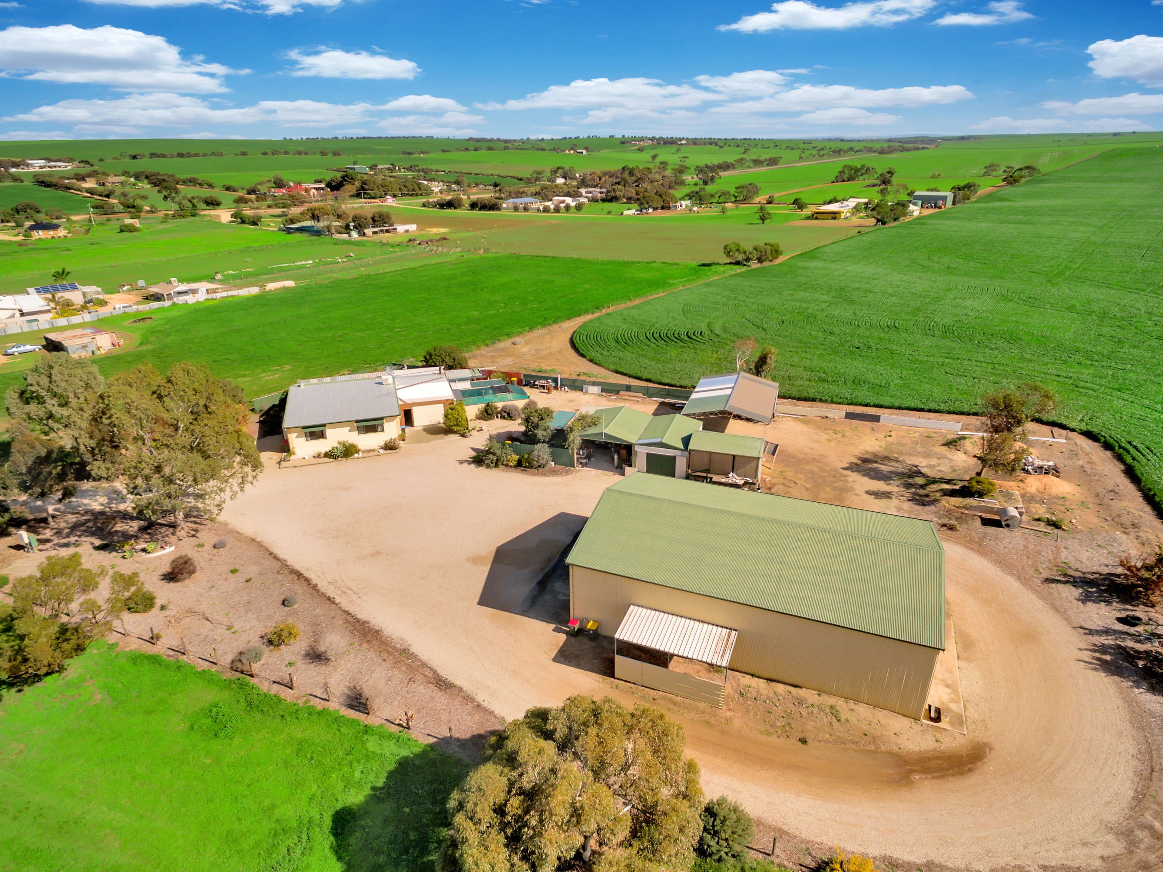 21 Midway Drive, Buronga - Thumbnail 2