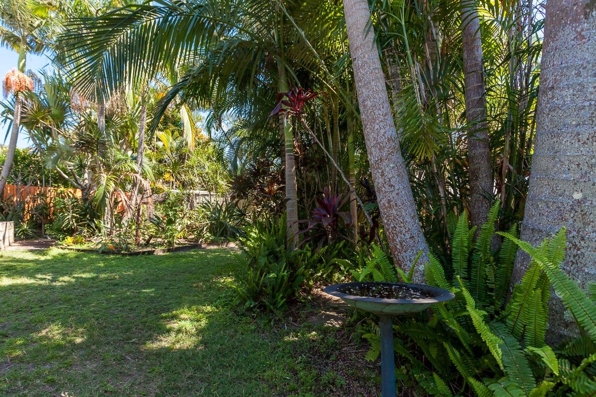 28 Bellevue Street, Bli Bli QLD 4560, Bli Bli - Thumbnail 3