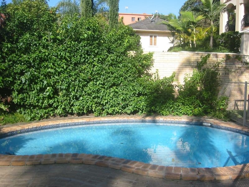8 16 'Palm Trees' St Kilda Avenue, BROADBEACH QLD 4218, Broadbeach - Thumbnail 2