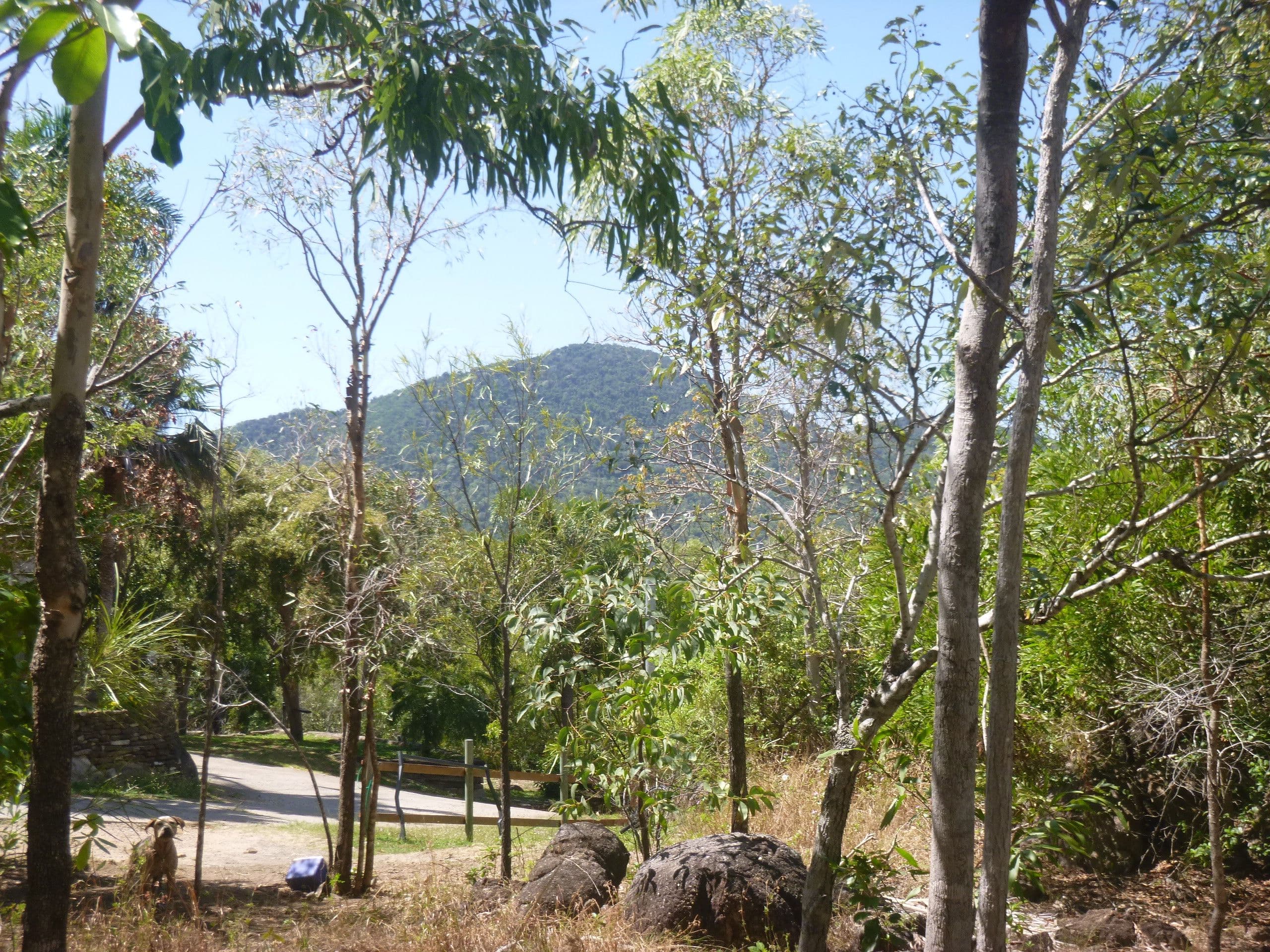 1 Irwin Street, Cooktown QLD 4895, Cooktown - Image 1
