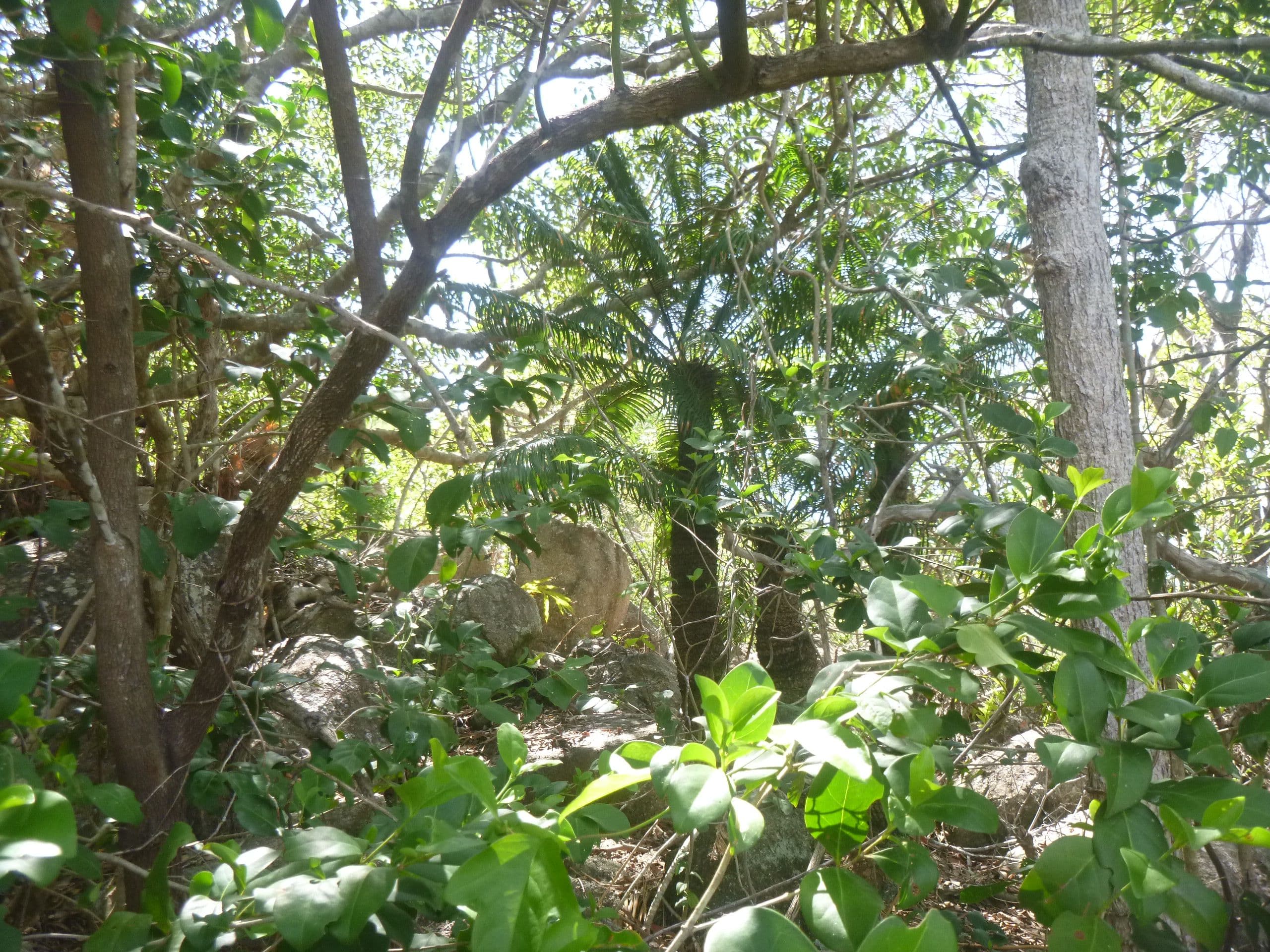 1 Irwin Street, Cooktown QLD 4895, Cooktown - Thumbnail 6