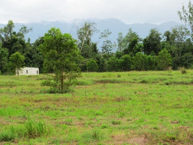 Lot 163 Raes Road, Abergowrie QLD 4850, Abergowrie - Image 1