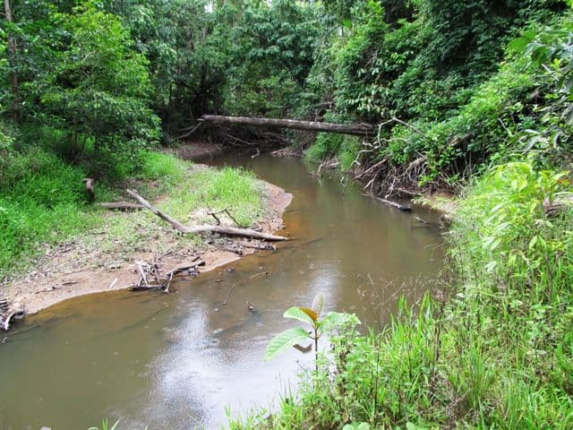 Lot 163 Raes Road, Abergowrie QLD 4850, Abergowrie - Thumbnail 4