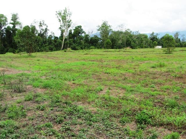 Lot 163 Raes Road, Abergowrie QLD 4850, Abergowrie - Thumbnail 6