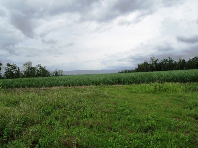 Lot 163 Raes Road, Abergowrie QLD 4850, Abergowrie - Thumbnail 7