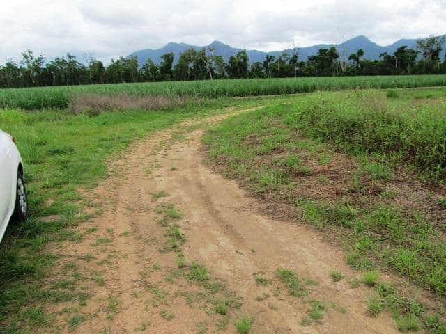Lot 163 Raes Road, Abergowrie QLD 4850, Abergowrie - Thumbnail 8