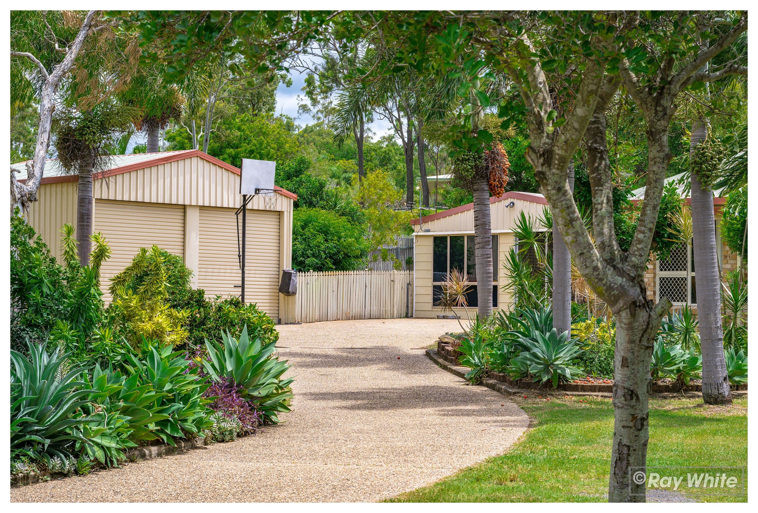 11 Belmont Road, Parkhurst QLD 4702, Parkhurst - Thumbnail 2