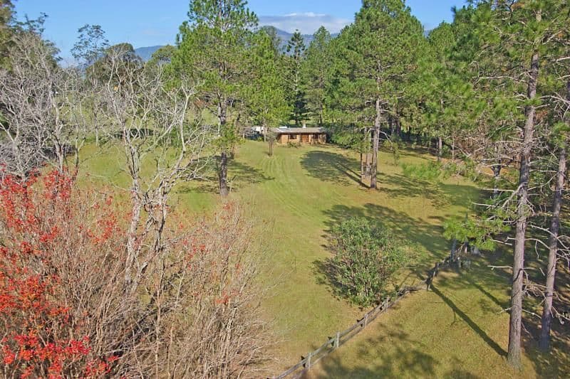 5 Back Creek Road, TYALGUM NSW 2484, Tyalgum - Image 1