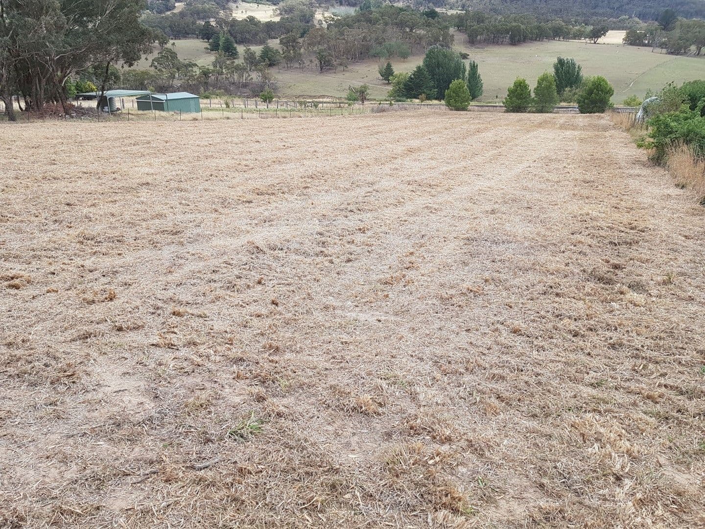 14 Mutton Falls Road, Tarana NSW 2787, Tarana - Thumbnail 4