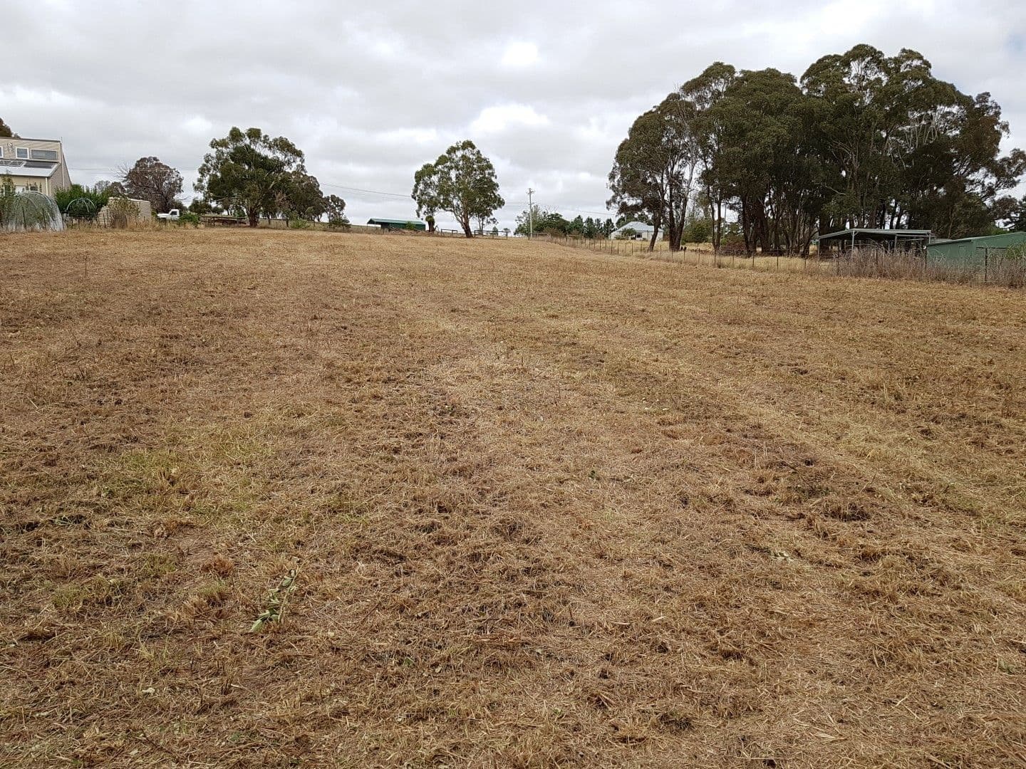 14 Mutton Falls Road, Tarana NSW 2787, Tarana - Thumbnail 5