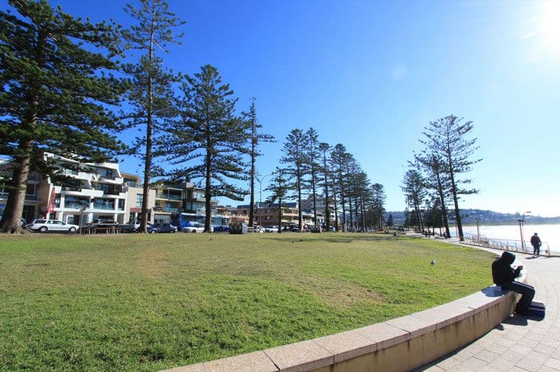 31-39 Boronia Street, DEE WHY NSW 2099, Dee Why - Thumbnail 7