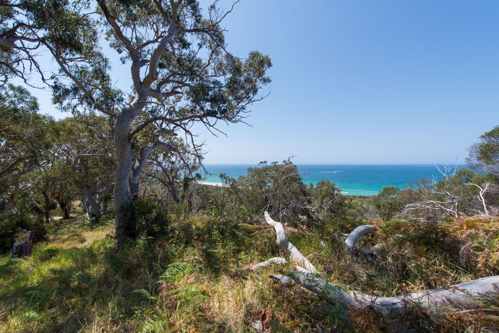 83 Tramican Street, Point Lookout QLD 4183, Point Lookout - Thumbnail 2