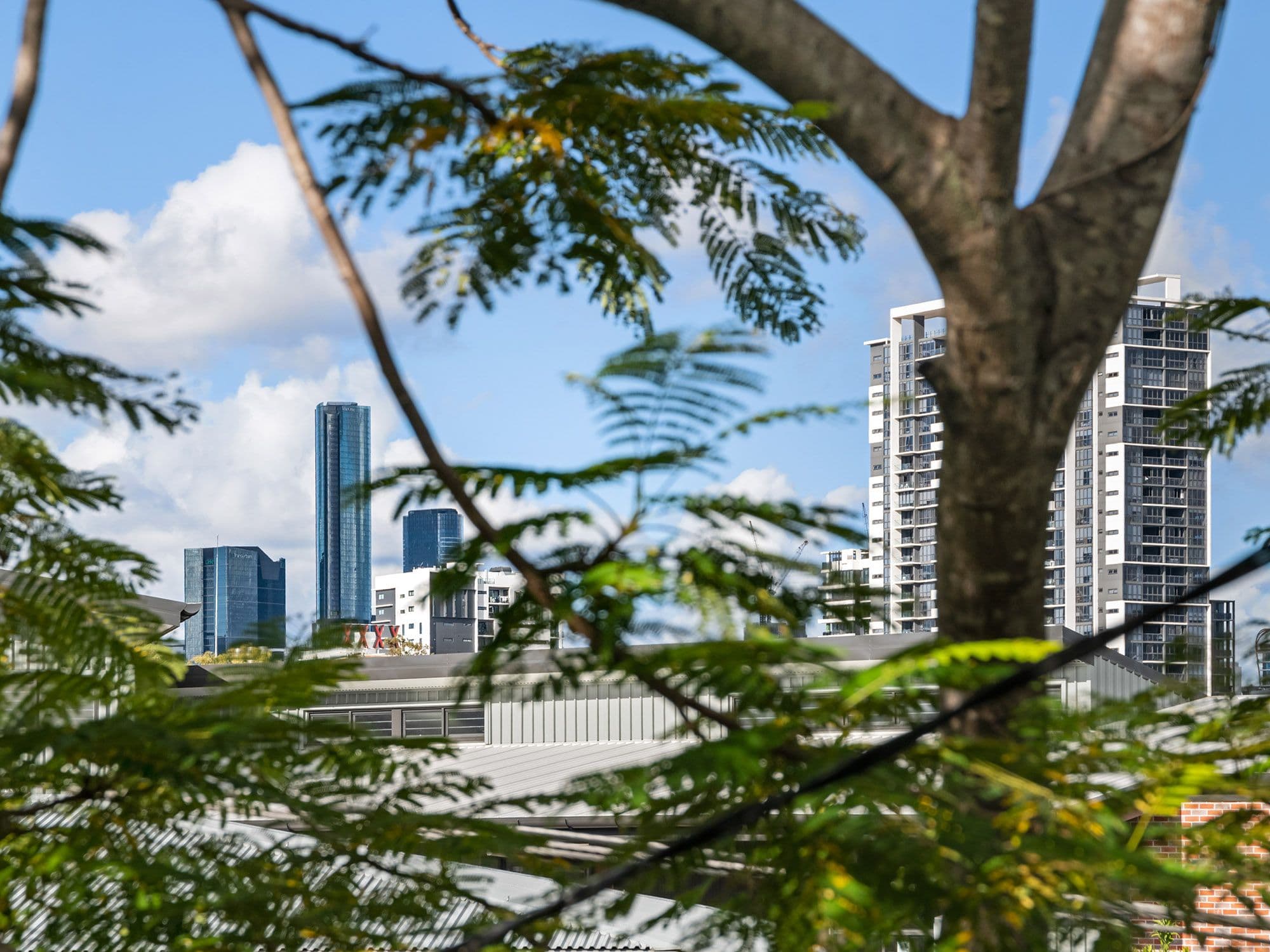 35 Bayswater Street, Paddington QLD 4064, Paddington - Thumbnail 3