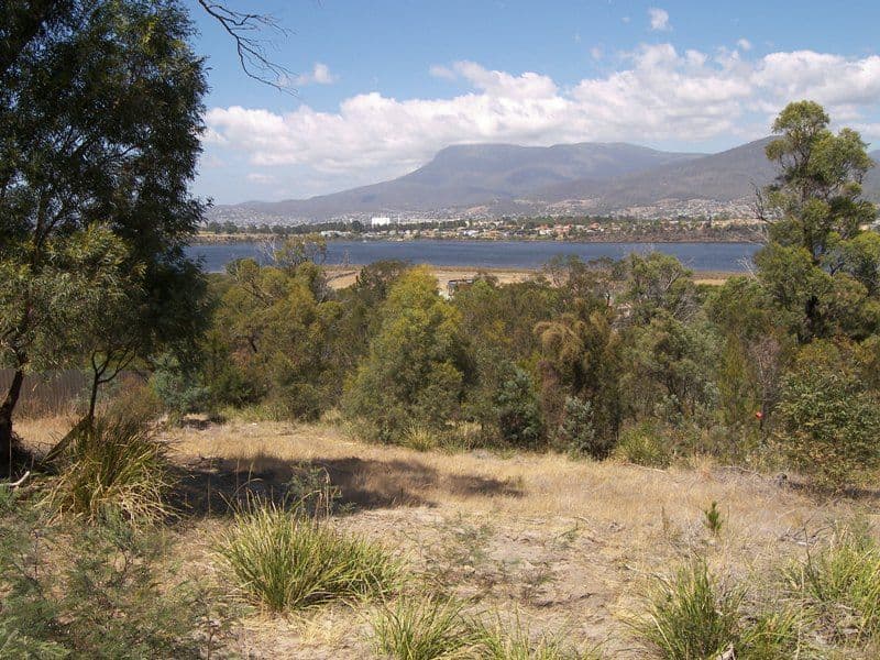 31 Ward Street, St Leonards VIC 3223, St Leonards - Thumbnail 2