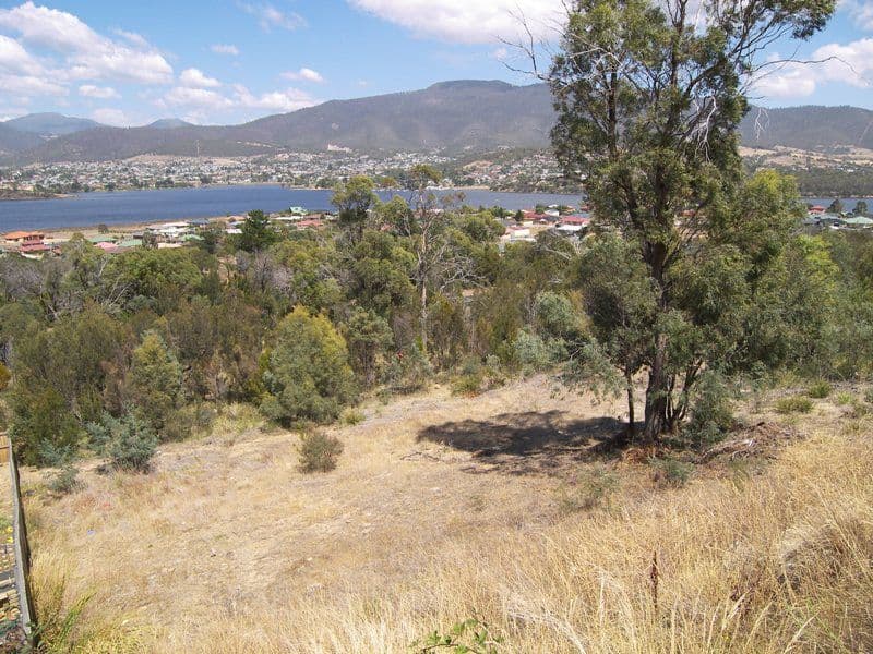 31 Ward Street, St Leonards VIC 3223, St Leonards - Thumbnail 3