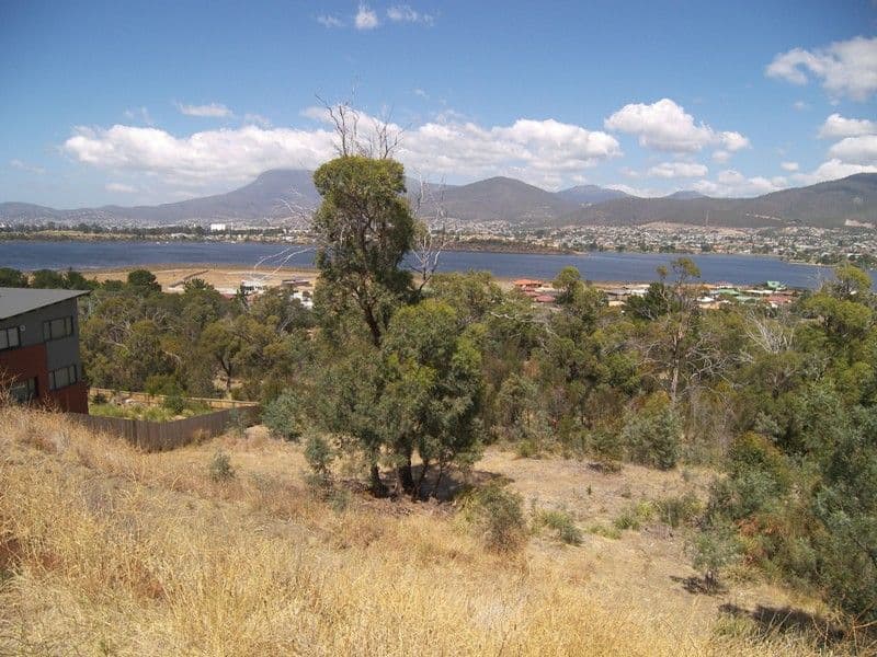 31 Ward Street, St Leonards VIC 3223, St Leonards - Thumbnail 4