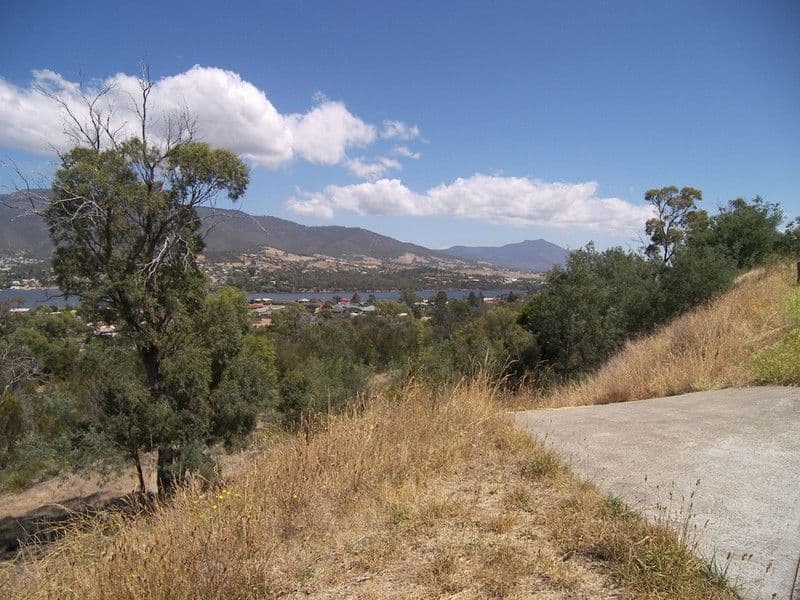 31 Ward Street, St Leonards VIC 3223, St Leonards - Thumbnail 5