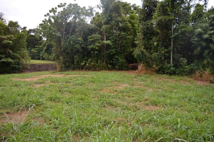 71 Cutten Street, Bingil Bay QLD 4852, Bingil Bay - Image 1