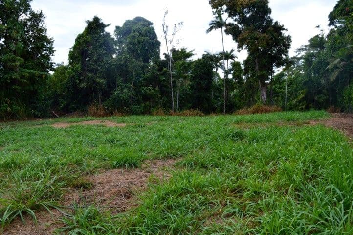 71 Cutten Street, Bingil Bay QLD 4852, Bingil Bay - Thumbnail 3