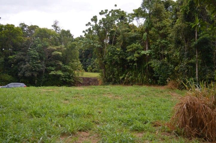 71 Cutten Street, Bingil Bay QLD 4852, Bingil Bay - Thumbnail 6