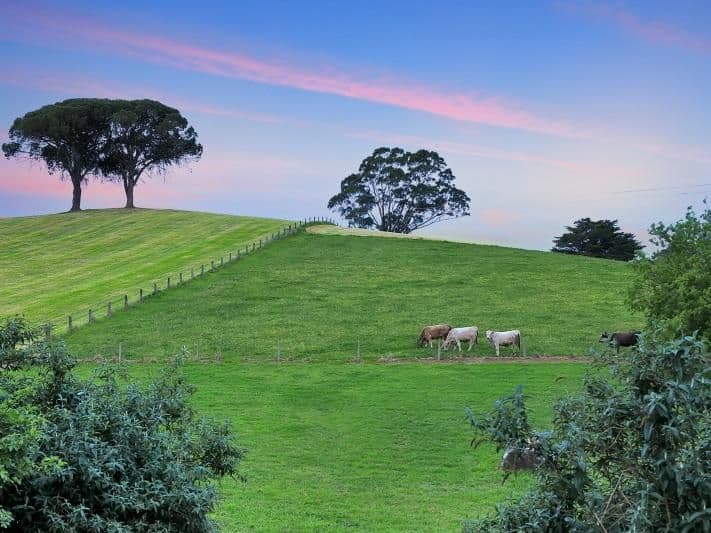 185 Kumnick Hill Road, Woodside SA 5244, Woodside - Thumbnail 4