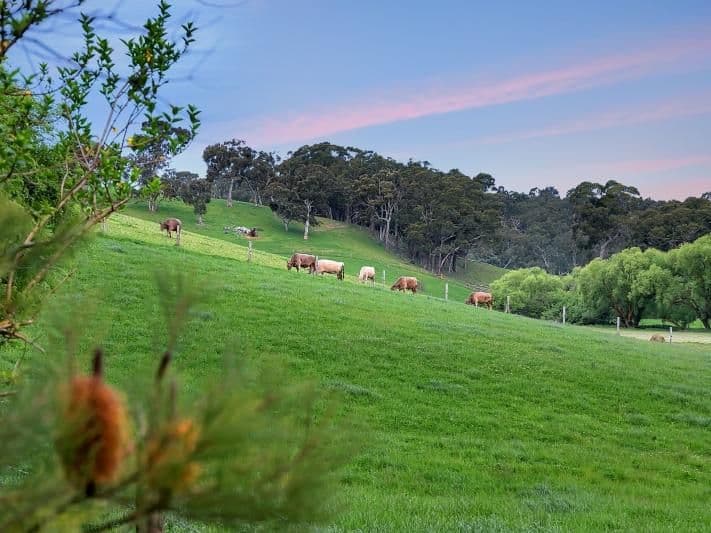 185 Kumnick Hill Road, Woodside SA 5244, Woodside - Thumbnail 5
