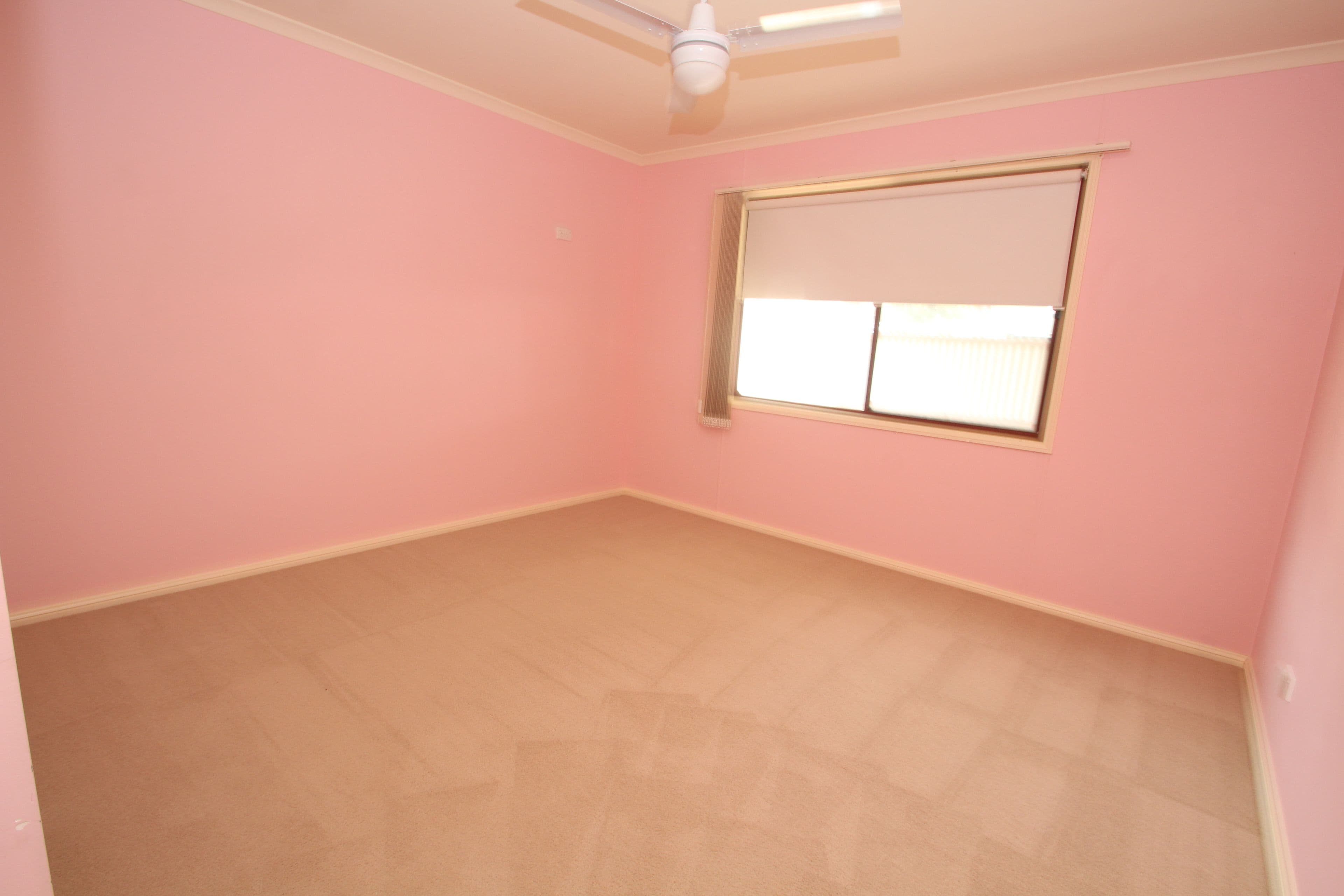 38 Hill Street, Tocumwal NSW 2714, Tocumwal - Thumbnail 6
