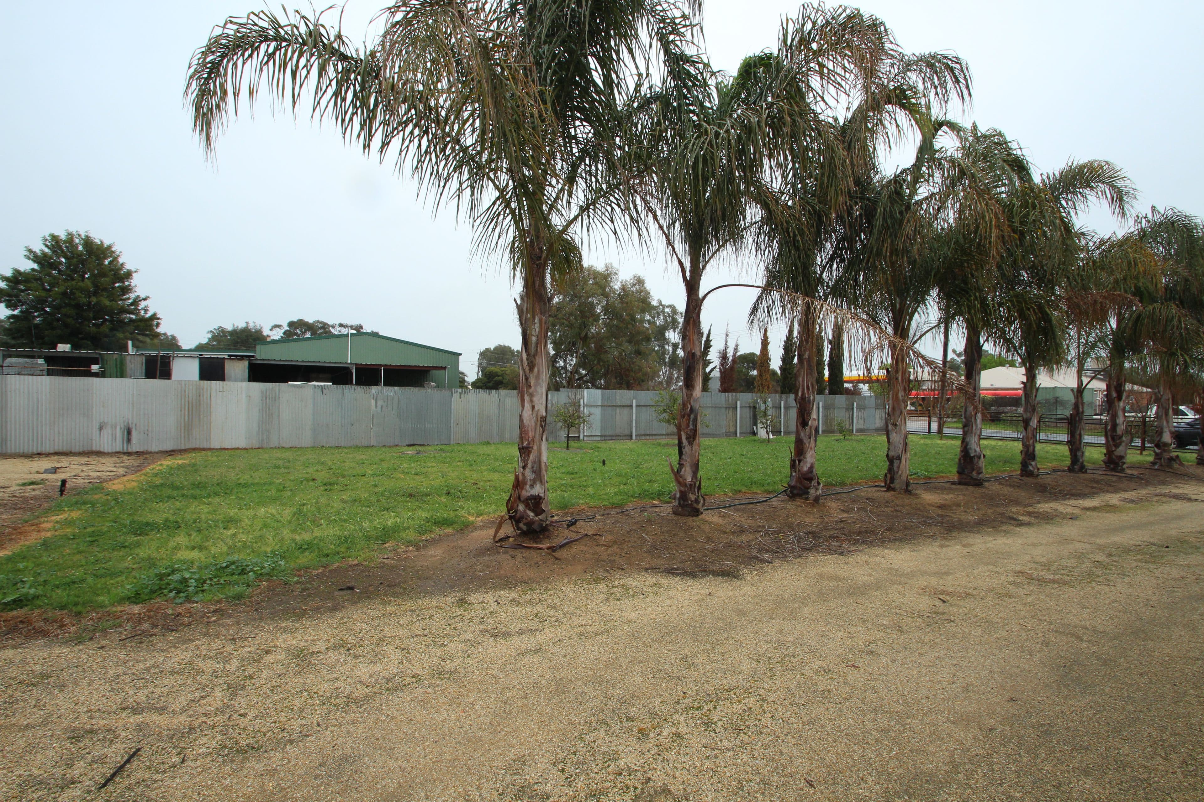 38 Hill Street, Tocumwal NSW 2714, Tocumwal - Thumbnail 8